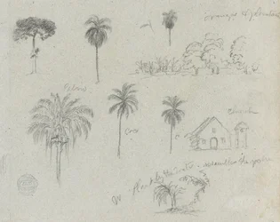 Schetsen van de Rio Magdalena, Colombia. Botanische schetsen. Een kerk. Vergelijkbaar met -103.